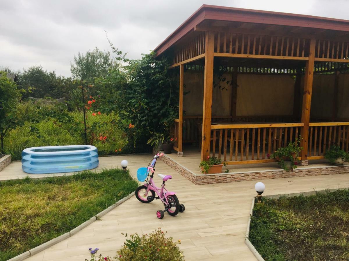 Alvanis Veli K'vemo Alvani Dış mekan fotoğraf